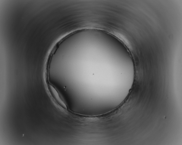 X0000093161136200710101149