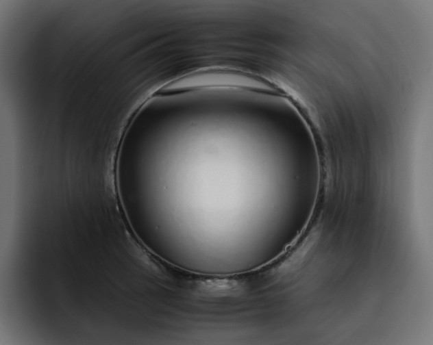 X0000093161137200710101149