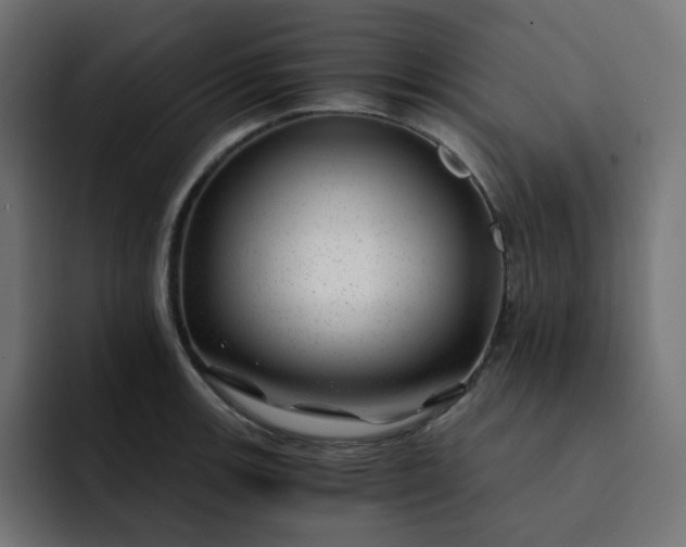 X0000093161139200710101149