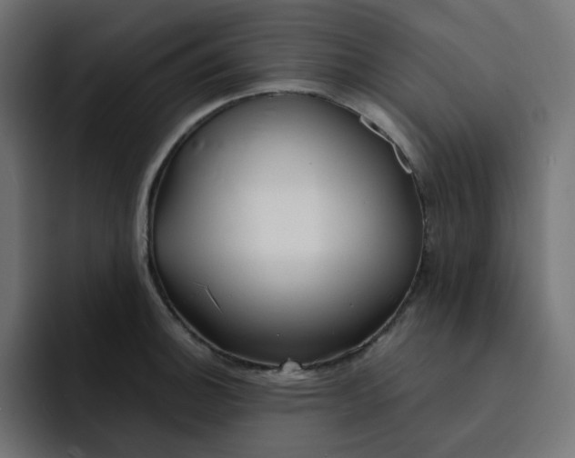 X0000093161140200710101149