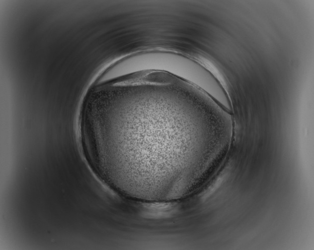 X0000093161141200710101149