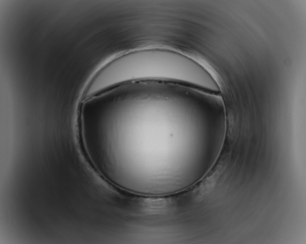 X0000093161142200710101149