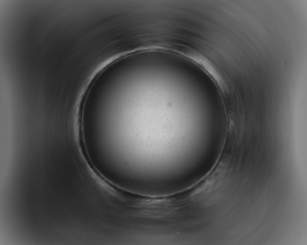X0000093161143200710101149
