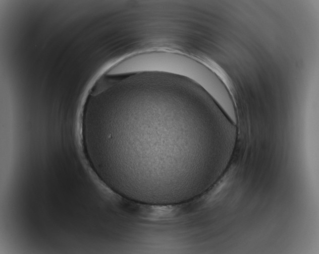 X0000093161144200710101149