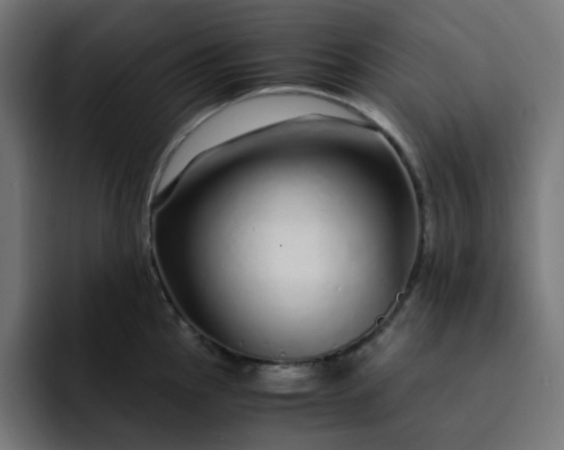 X0000093161145200710101149