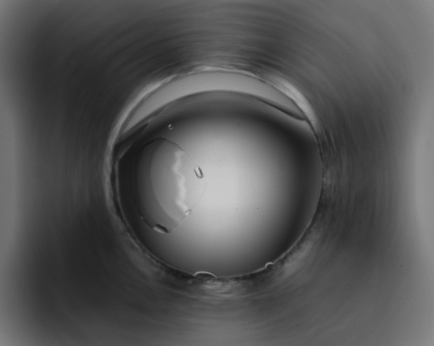 X0000093161146200710101149
