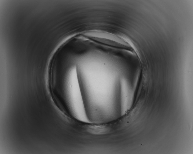 X0000093161147200710101149