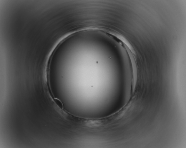 X0000093161148200710101149