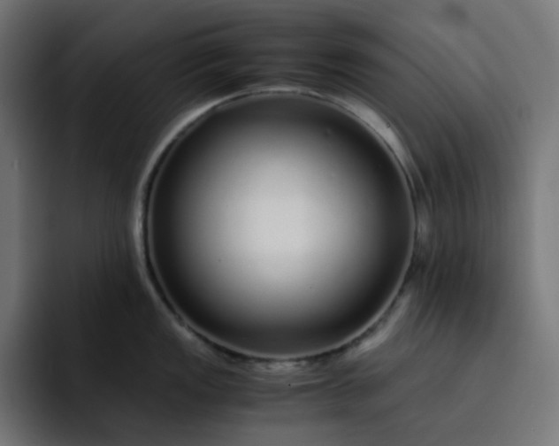 X0000093161149200710101149