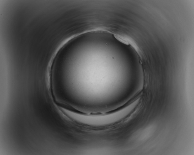 X0000093161151200710101149