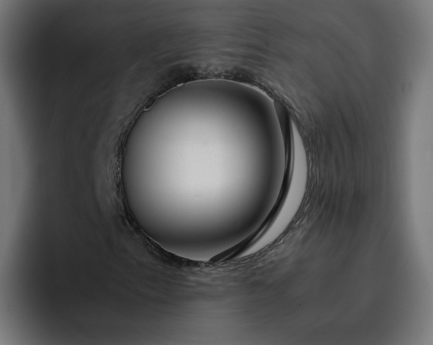 X0000093161153200710101149