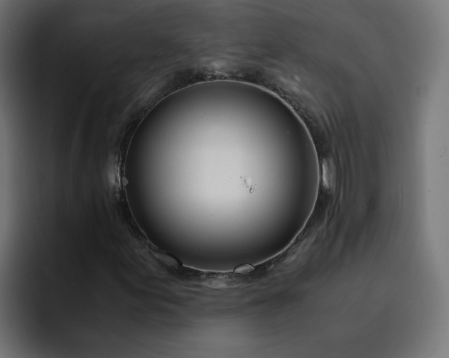 X0000093161155200710101149