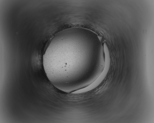 X0000093161156200710101149