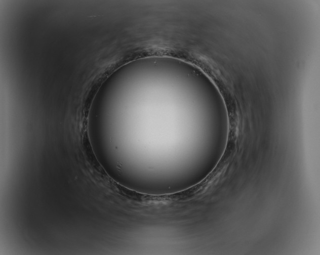 X0000093161157200710101149