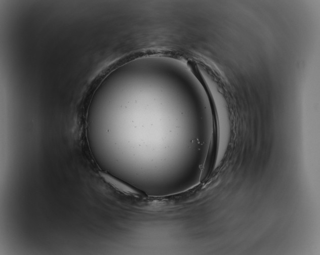 X0000093161160200710101149