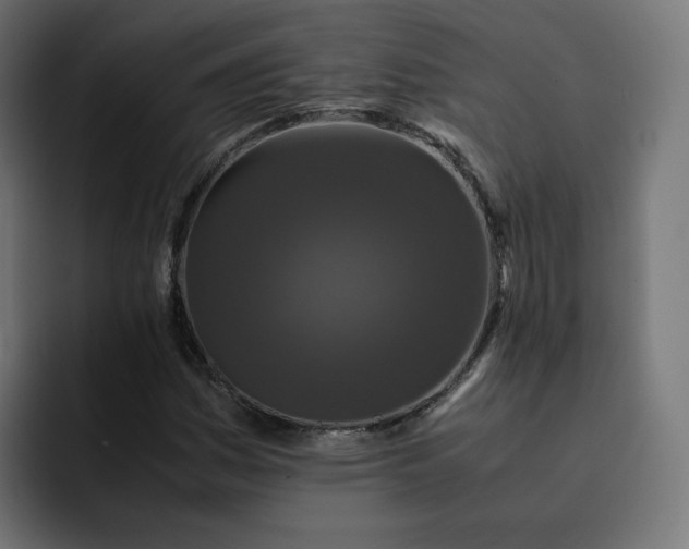 X0000093161161200710101149