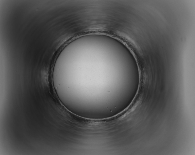 X0000093161162200710101149