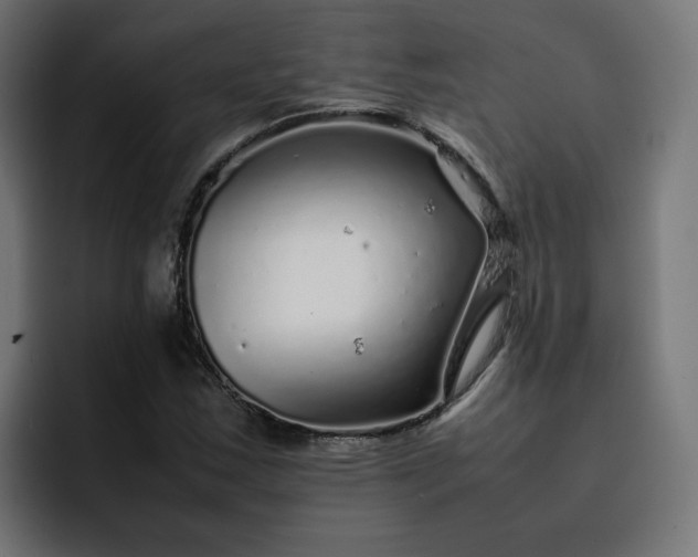 X0000093161163200710101149