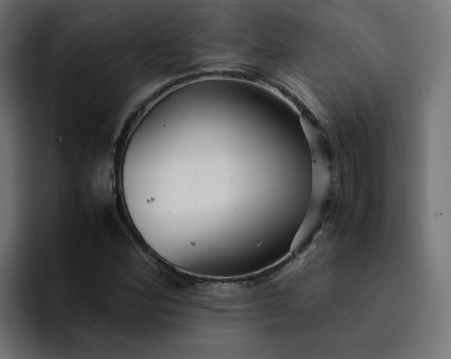 X0000093161164200710101149