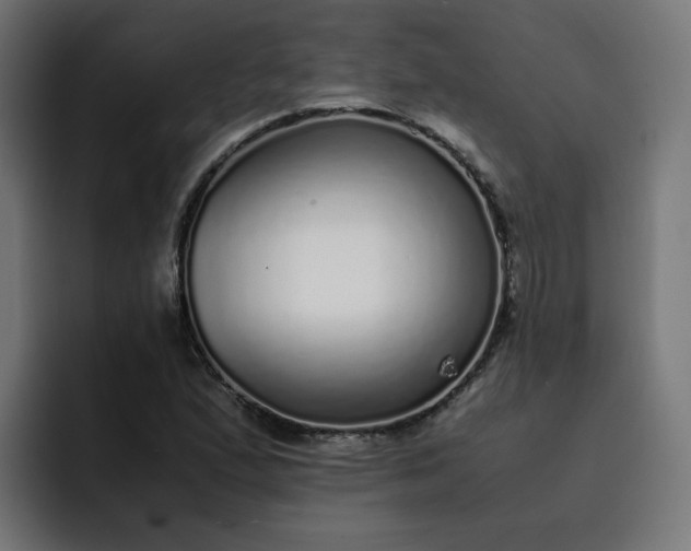 X0000093161167200710101148