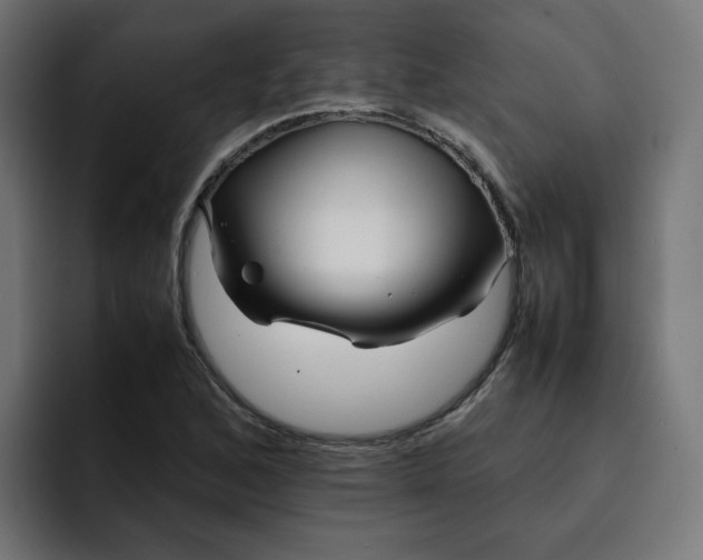 X0000093161168200710101148