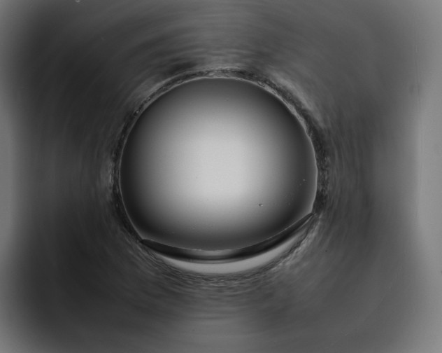 X0000093161169200710101148