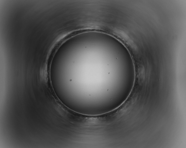 X0000093161172200710101148