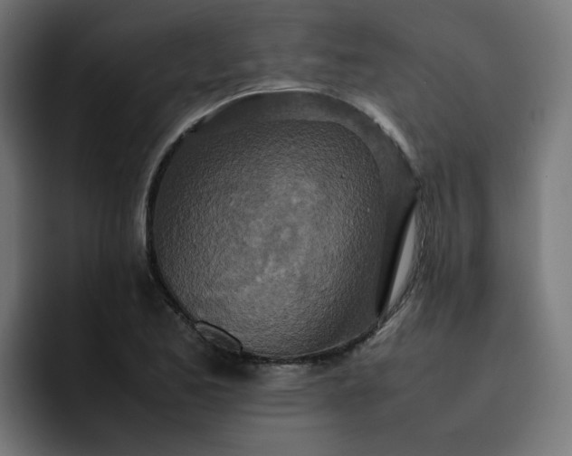 X0000093161173200710101148