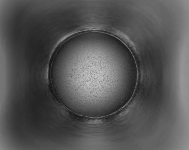 X0000093161174200710101148