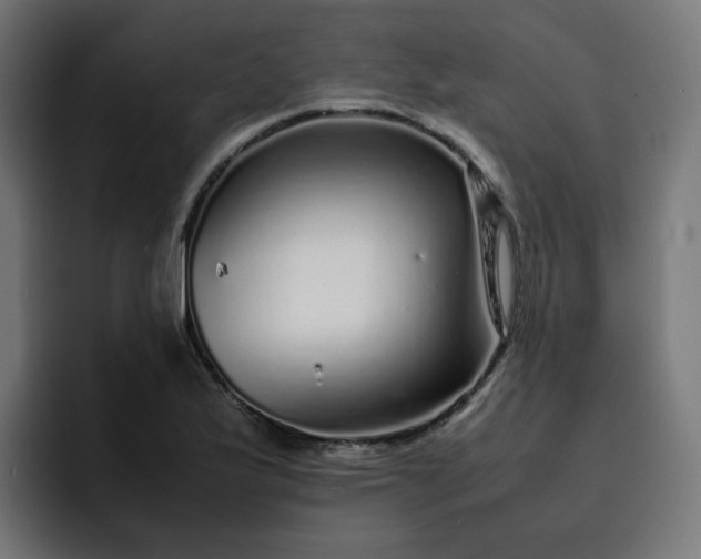 X0000093161175200710101148