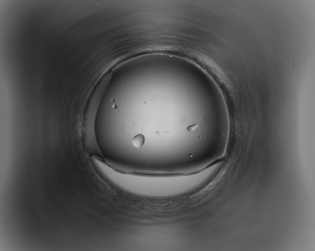 X0000093161177200710101148