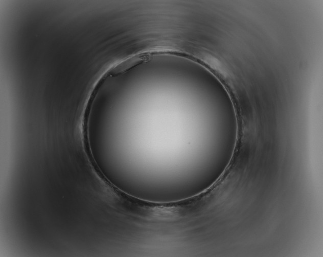 X0000093161181200710101148