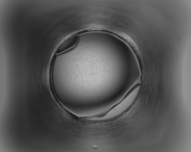 X0000093161183200710101148