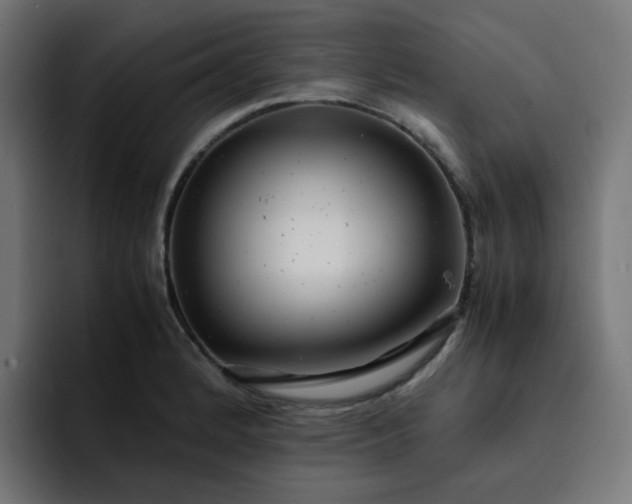 X0000093161184200710101148
