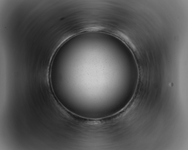 X0000093161186200710101148