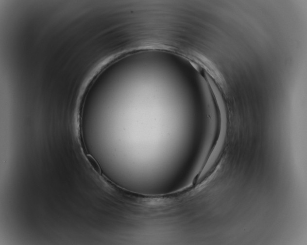 X0000093161188200710101148