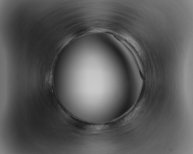 X0000093161193200710101148