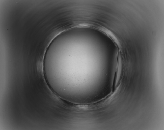 X0000093161194200710101148