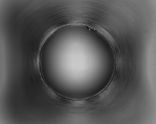 X0000093161196200710101148
