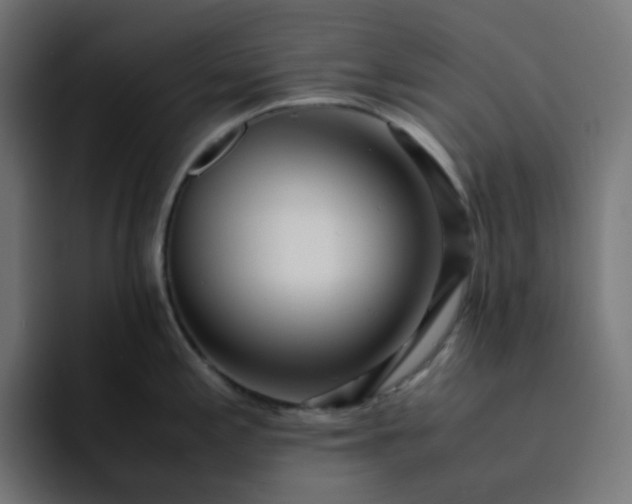 X0000093161197200710101148