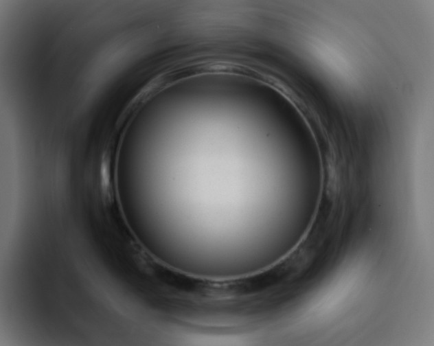 X0000093161198200710101148