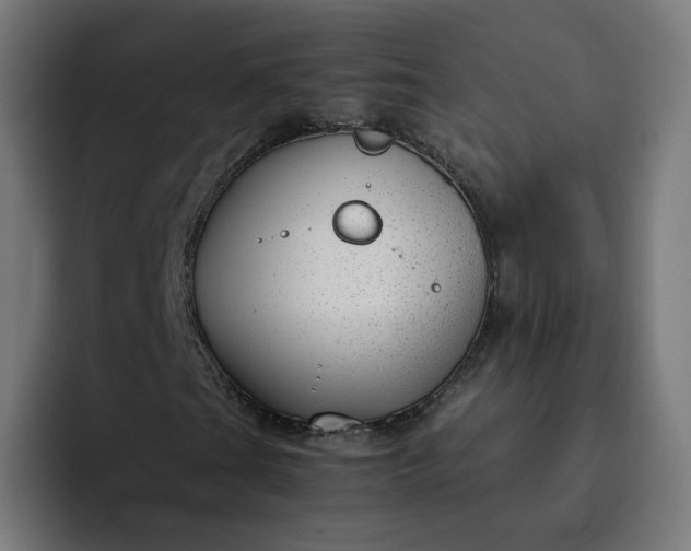 X0000093161201200710101148