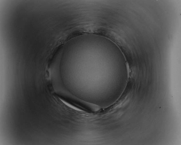 X0000093161202200710101148