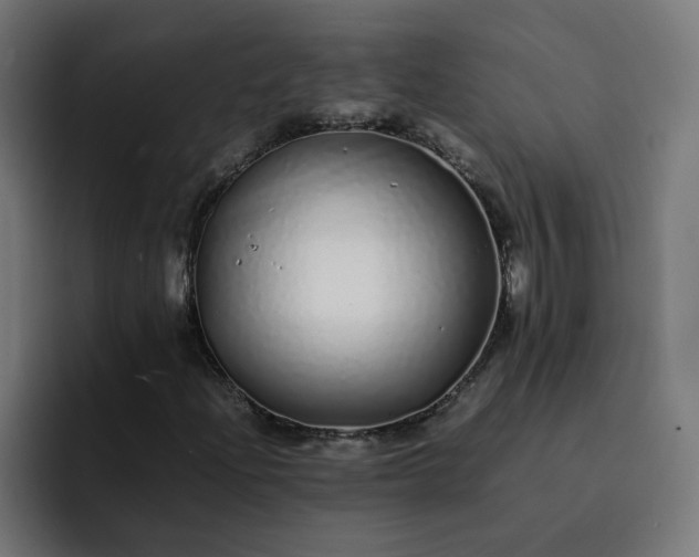 X0000093161204200710101148