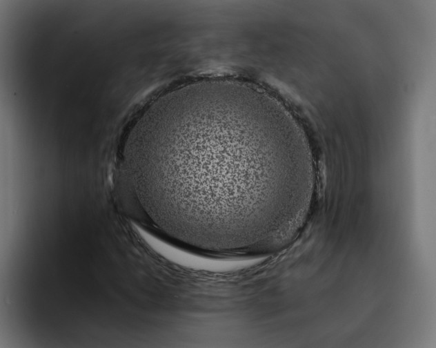 X0000093161206200710101148