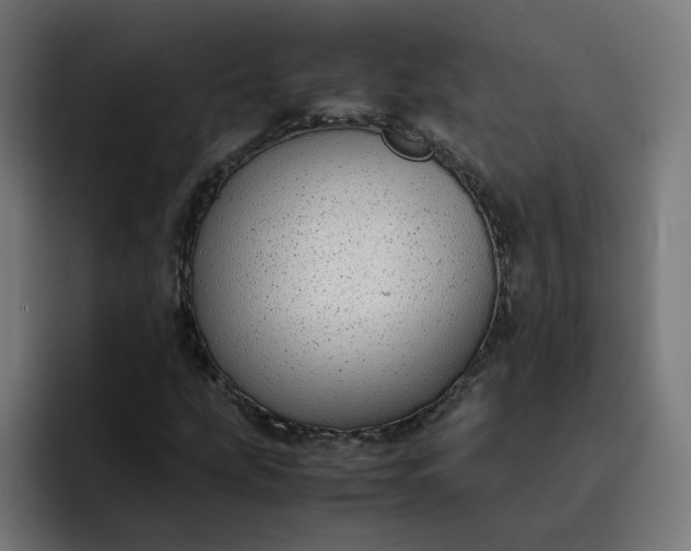 X0000093161207200710101148