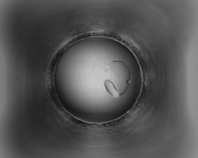 X0000093161208200710101148