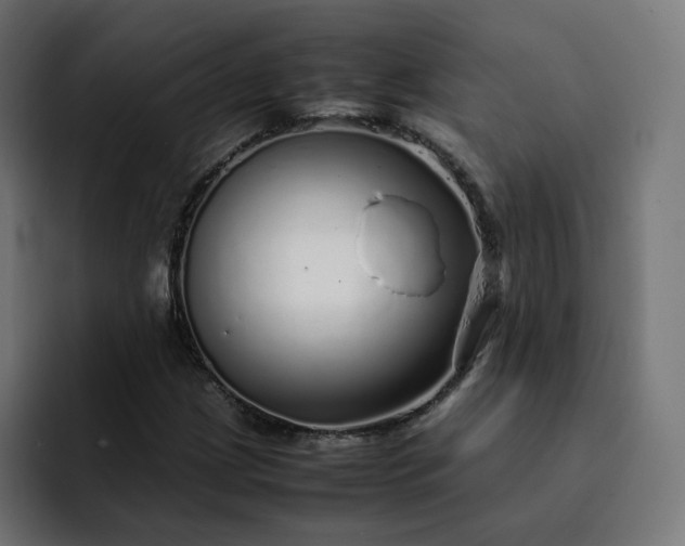 X0000093161209200710101148