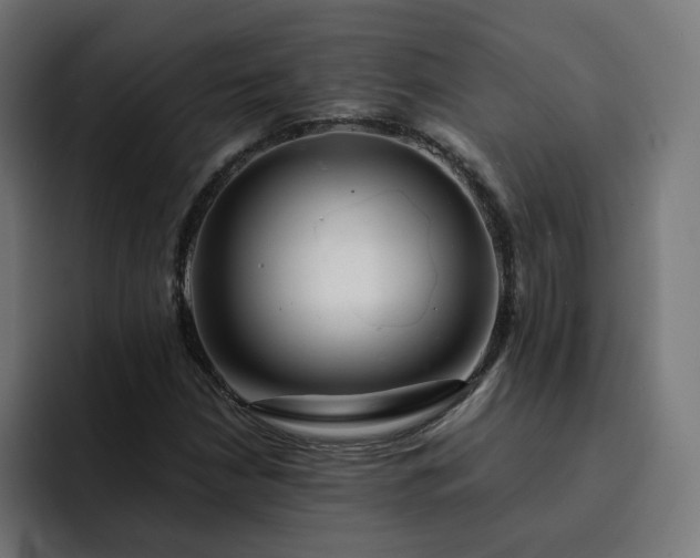 X0000093161210200710101148