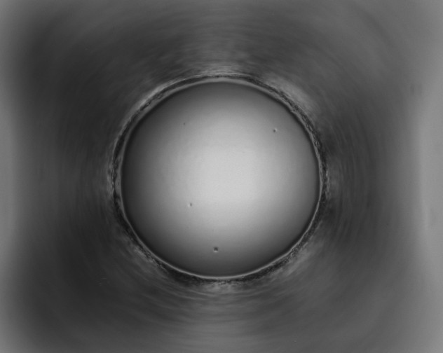 X0000093161212200710101148